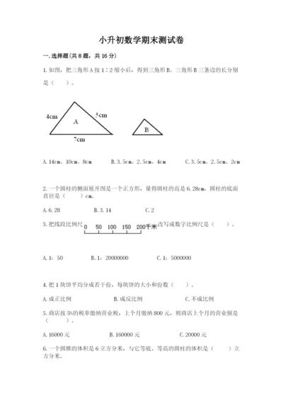 小升初数学期末测试卷及参考答案【培优a卷】.docx