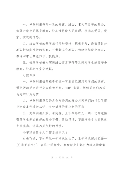 小学班主任个人工作总结例文5篇.docx