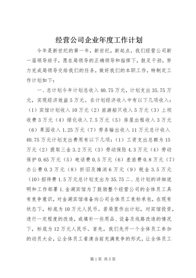 经营公司企业年度工作计划.docx