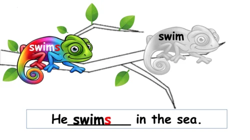 Module 8 Unit 2 Daming flies a kite in the park 课件