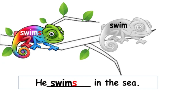 Module 8 Unit 2 Daming flies a kite in the park 课件
