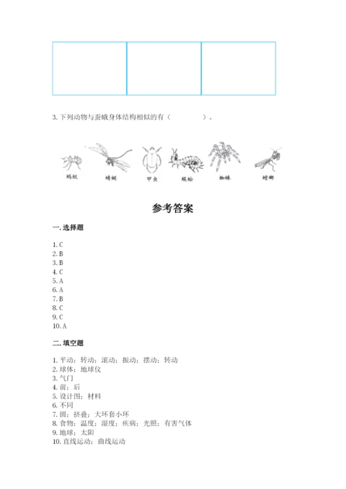 教科版科学三年级下册 期末测试卷精品【有一套】.docx