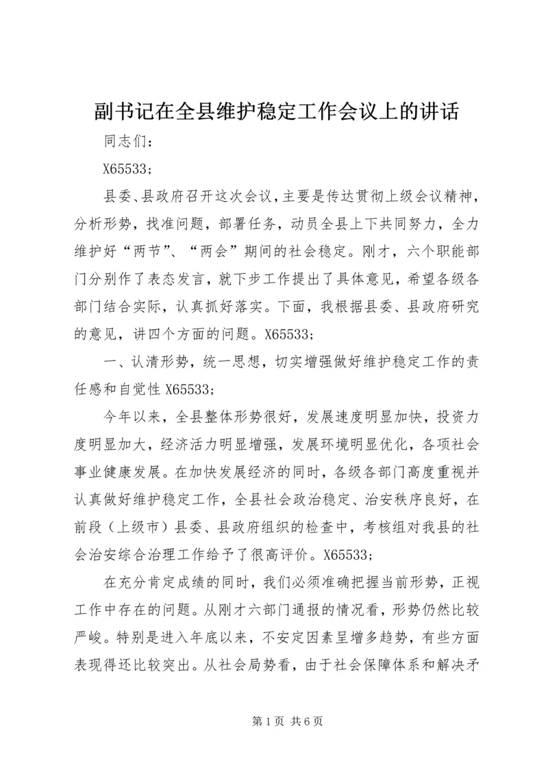 副书记在全县维护稳定工作会议上的讲话.docx