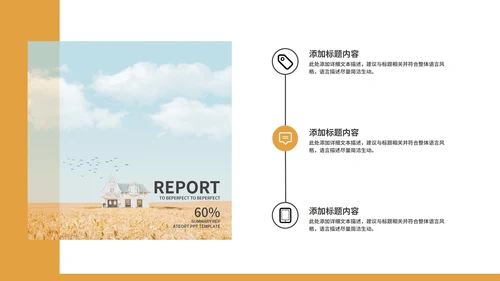 黄色简约风社会实践报告PPT模板