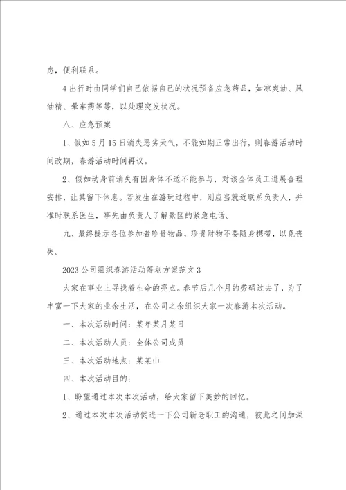 2023年公司组织春游活动策划方案范文