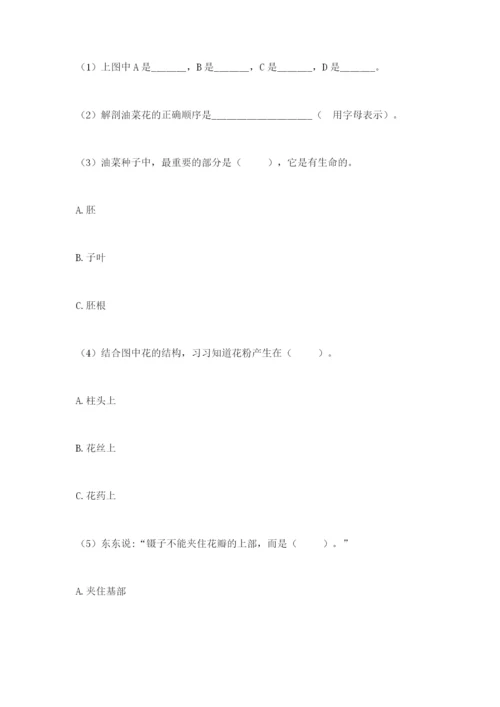 教科版四年级下册科学第一单元《植物的生长变化》测试卷【研优卷】.docx