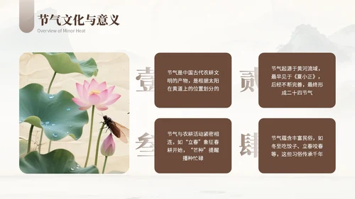 浅棕色复古小暑节气社区活动PPT模板