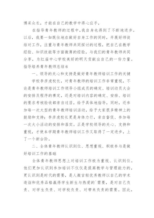 指导培养青年教师总结.docx