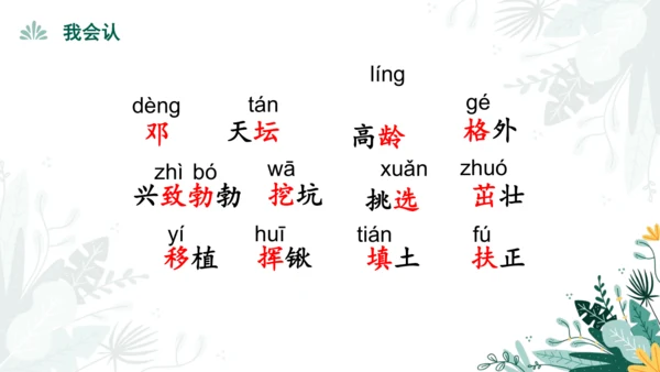4.邓小平爷爷植树（第一课时）  课件