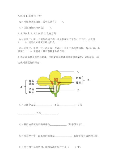 科学四年级下册第一单元植物的生长变化测试卷及完整答案【夺冠系列】.docx