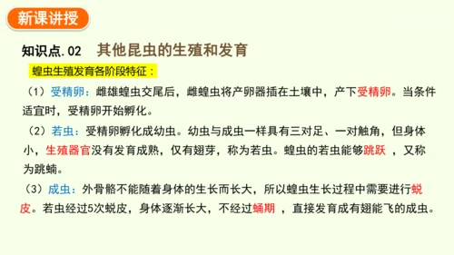 7.1.2昆虫的生殖和发育-八年级生物人教版下学期同步精品课件(共29张PPT)