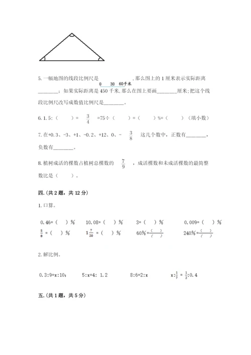 贵州省贵阳市小升初数学试卷（培优b卷）.docx