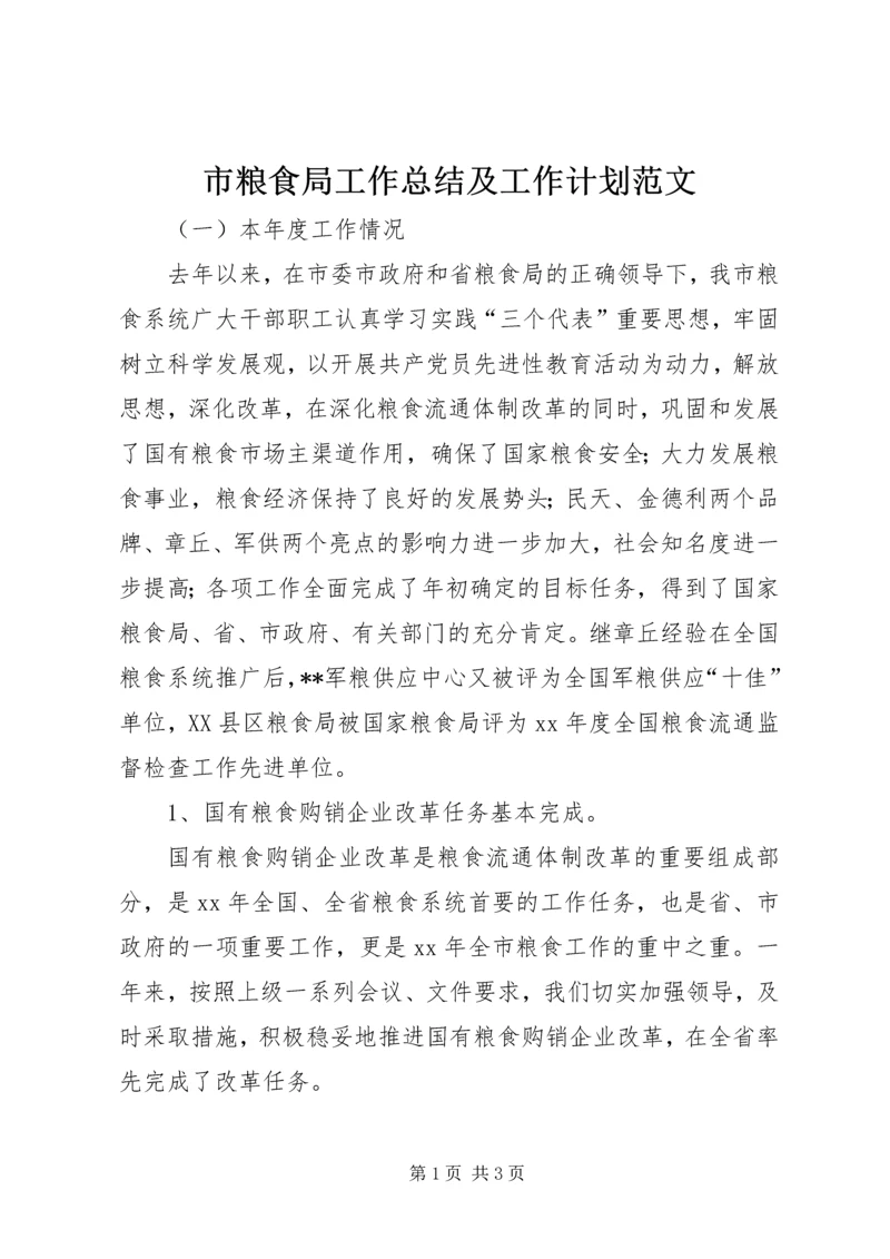 市粮食局工作总结及工作计划范文.docx