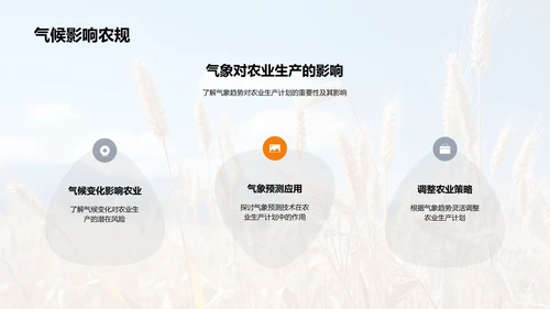 夏至农业气候指导