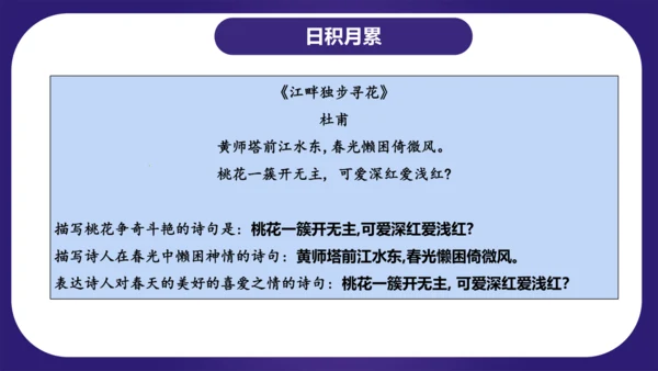 统编版四年级语文下学期期中核心考点集训第二单元（复习课件）