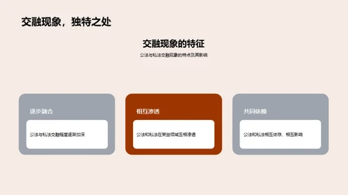 公私法交融透析