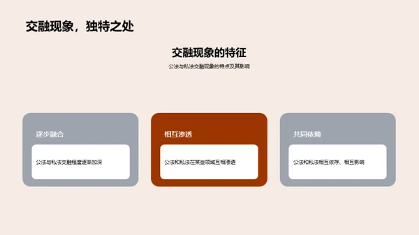 公私法交融透析