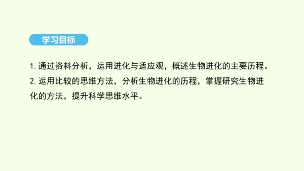 7.3.2生物进化的历程课件-人教版生物八年级下册(共23张PPT)