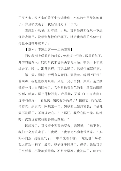 关于不速之客的作文.docx