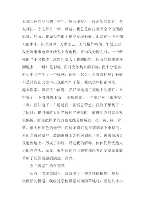 小学作文生活中的发现.docx