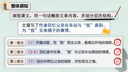 14 背影 课件