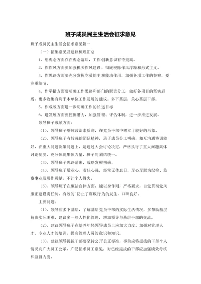 班子成员民主生活会征求意见.docx