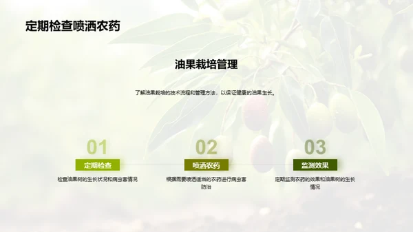 油果种植之全方位解析