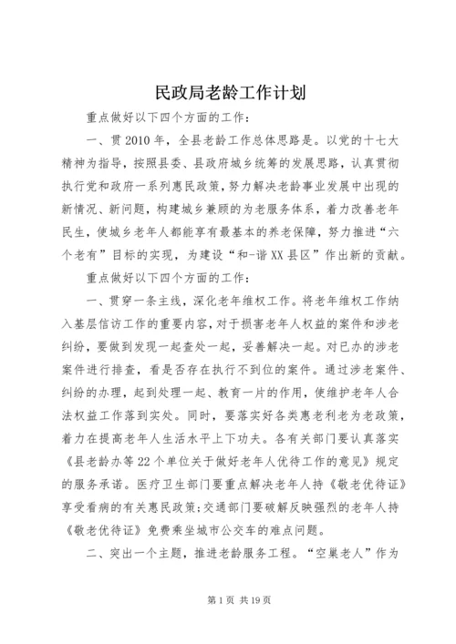 民政局老龄工作计划.docx