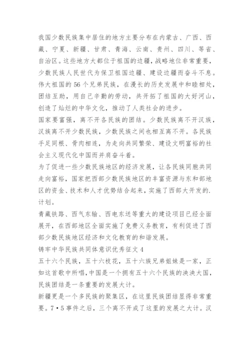 铸牢中华民族共同体意识优秀征文10篇.docx