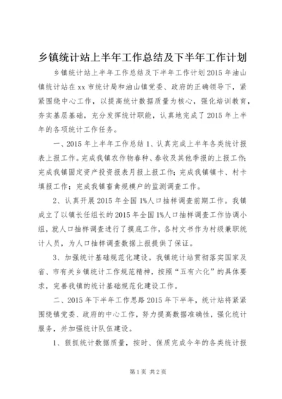 乡镇统计站上半年工作总结及下半年工作计划.docx