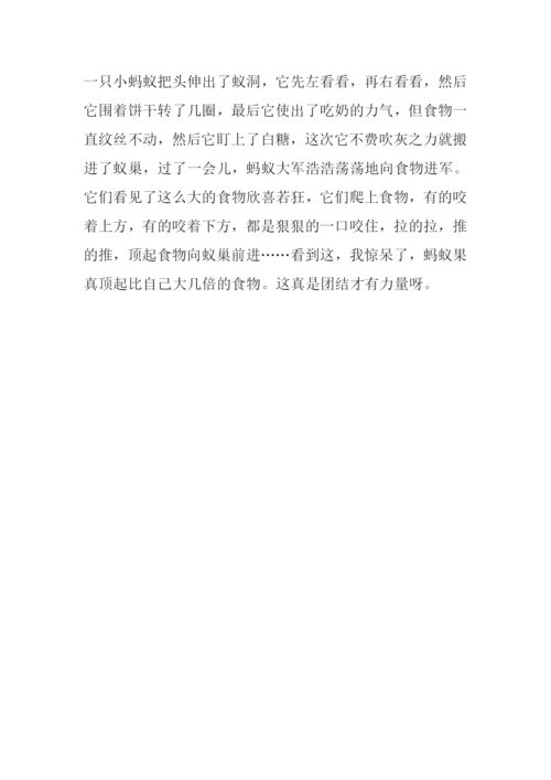 什么的启示作文250字.docx