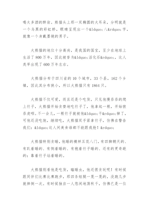 国宝大熊猫资料简介三年级下册(精选5篇).docx