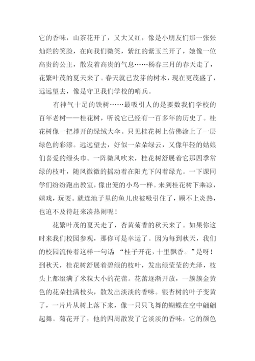 我们的校园作文900字-1.docx