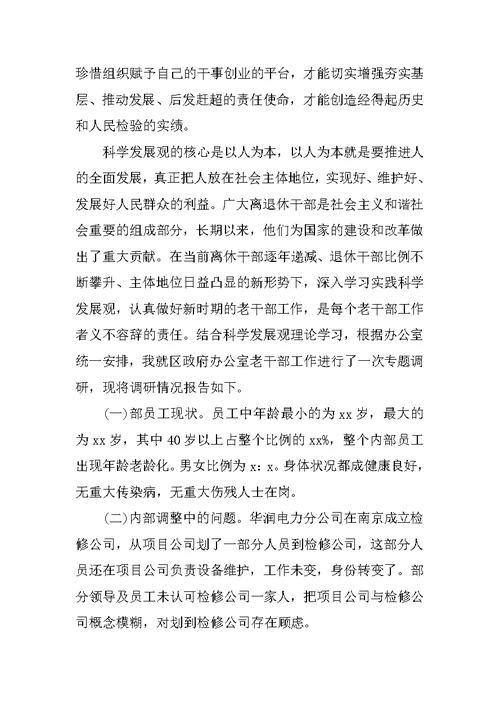 关于南热项目调研报告范文