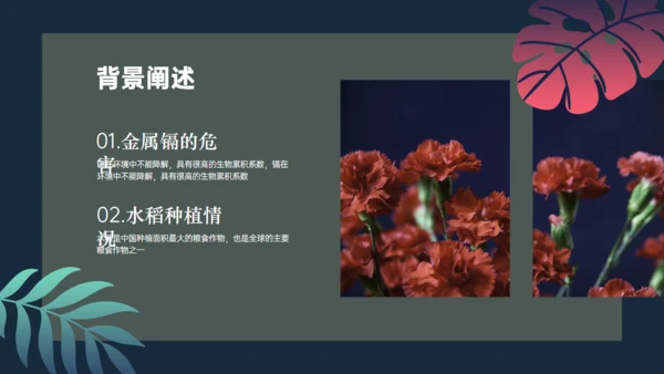 植物与污染研究漂亮的叶子通用PPT模板