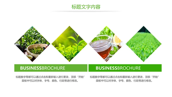 唯美绿色茶园茶文化品茶论道PPT模板