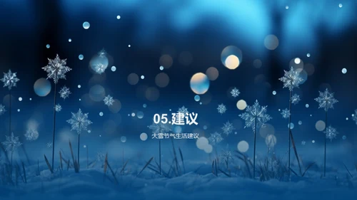 深度解析大雪节气