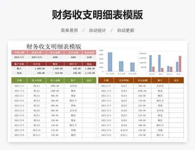 财务收支明细表模版