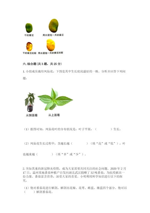 教科版科学四年级下册第一单元《植物的生长变化》测试卷（名师推荐）.docx