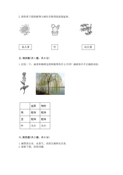 教科版科学一年级上册第一单元《植物》测试卷含完整答案【必刷】.docx