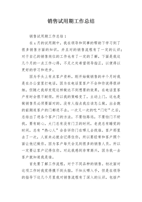 销售试用期工作总结.docx