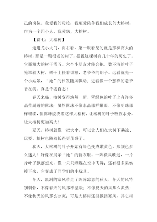 描写大榕树的作文.docx