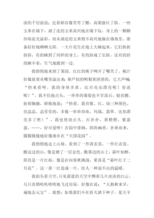 走进秋天作文800字-1.docx