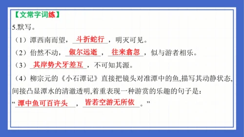 第三单元复习课件 2023-2024学年统编版语文八年级下册(共58张PPT)