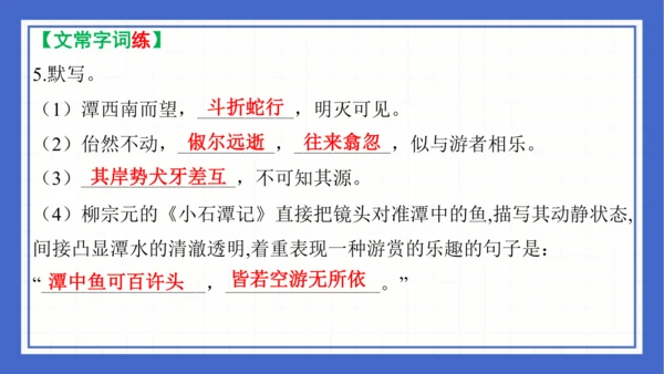 第三单元复习课件 2023-2024学年统编版语文八年级下册(共58张PPT)
