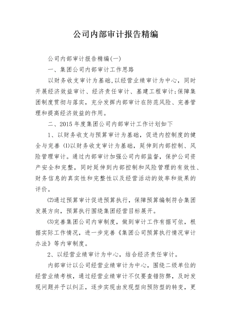 公司内部审计报告精编.docx