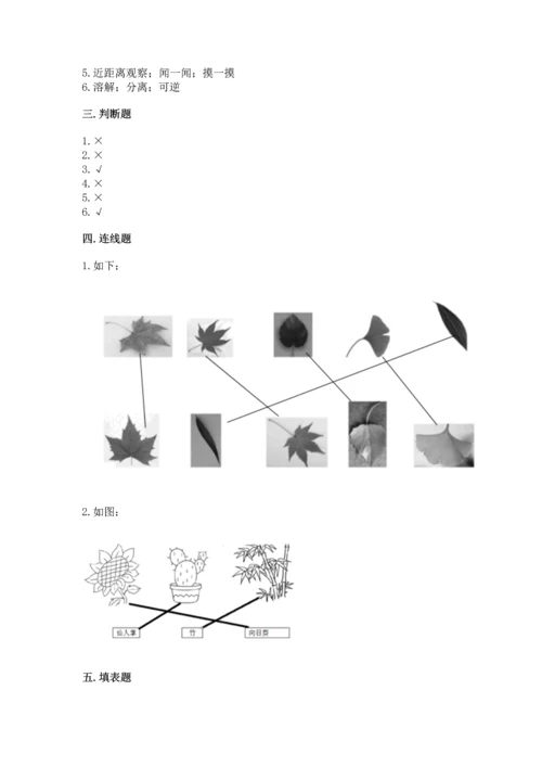 教科版科学一年级上册第一单元《植物》测试卷精选.docx