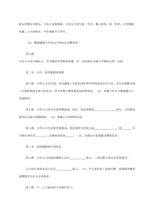 中外合资公司章程范本.docx