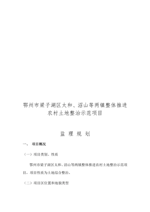 监理规划20.docx