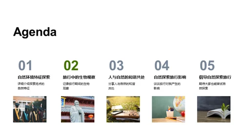 生态漫游：探索与认知